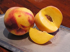 Dwarf Frost Peach Tree - Most cold hardy peach tree! (2 years old and 3-4 feet tall.)